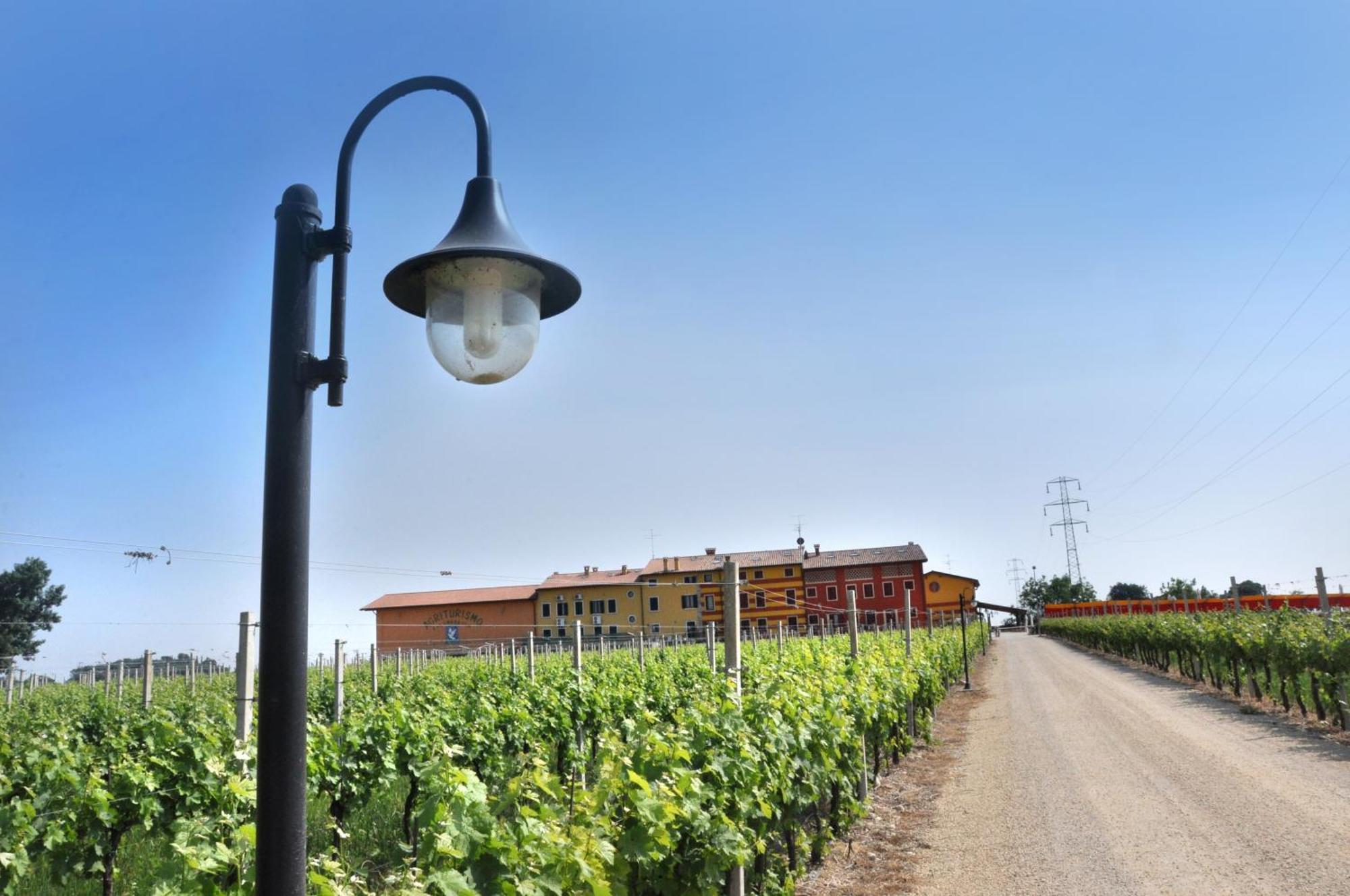 Agriturismo Dei Grippi Sona Exterior foto